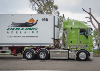 Growth in the Fleet at Collins