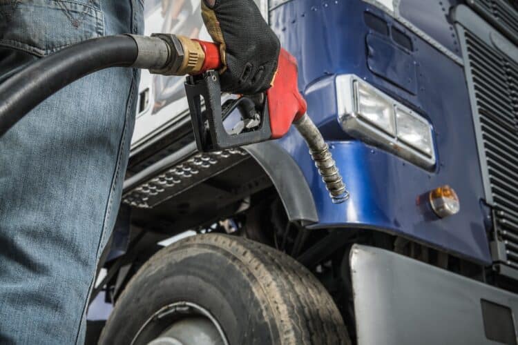 Applications under the Government's Economic Resilience Program are helping small transport businesses.  Image: Tomasz Zajda/stock.adobe.com.