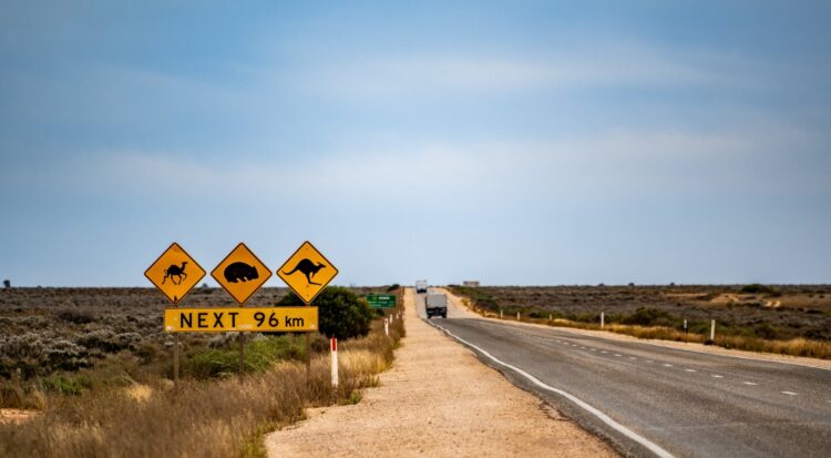 The NHVR is warning about a spike to truck crashes on the Eyre Highway. Image: Michael Major/stock.adobe.com.