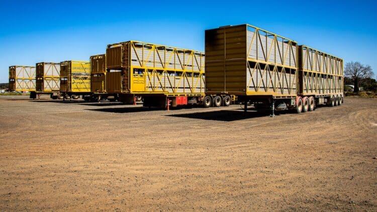 Stock trailers await hook up at a rest stop.