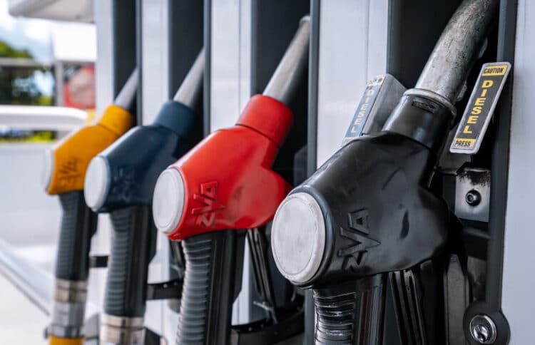 Image: Alexander/stock.adobe.com.