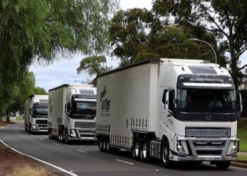 Gold Tiger Logistics Solutions is closing its doors. Image: Gold Tiger Logistics Solutions.