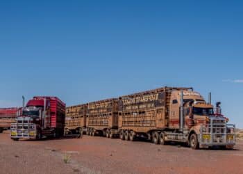Livestock industry members are being urged to use the 2026 Master Code to the fullest extent. Image: Serge/stock.adobe.com
