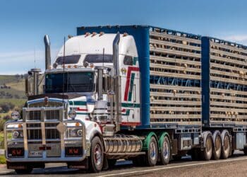Transport and trucking bodies are celebrating the Federal Government's zero-interest loans program. Image: Serge/adobe stock.com.
