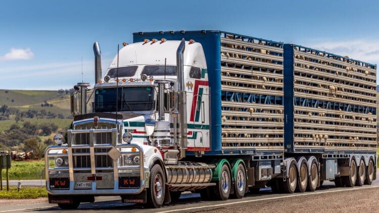 Transport and trucking bodies are celebrating the Federal Government's zero-interest loans program. Image: Serge/adobe stock.com.
